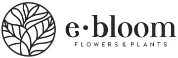 Ebloom